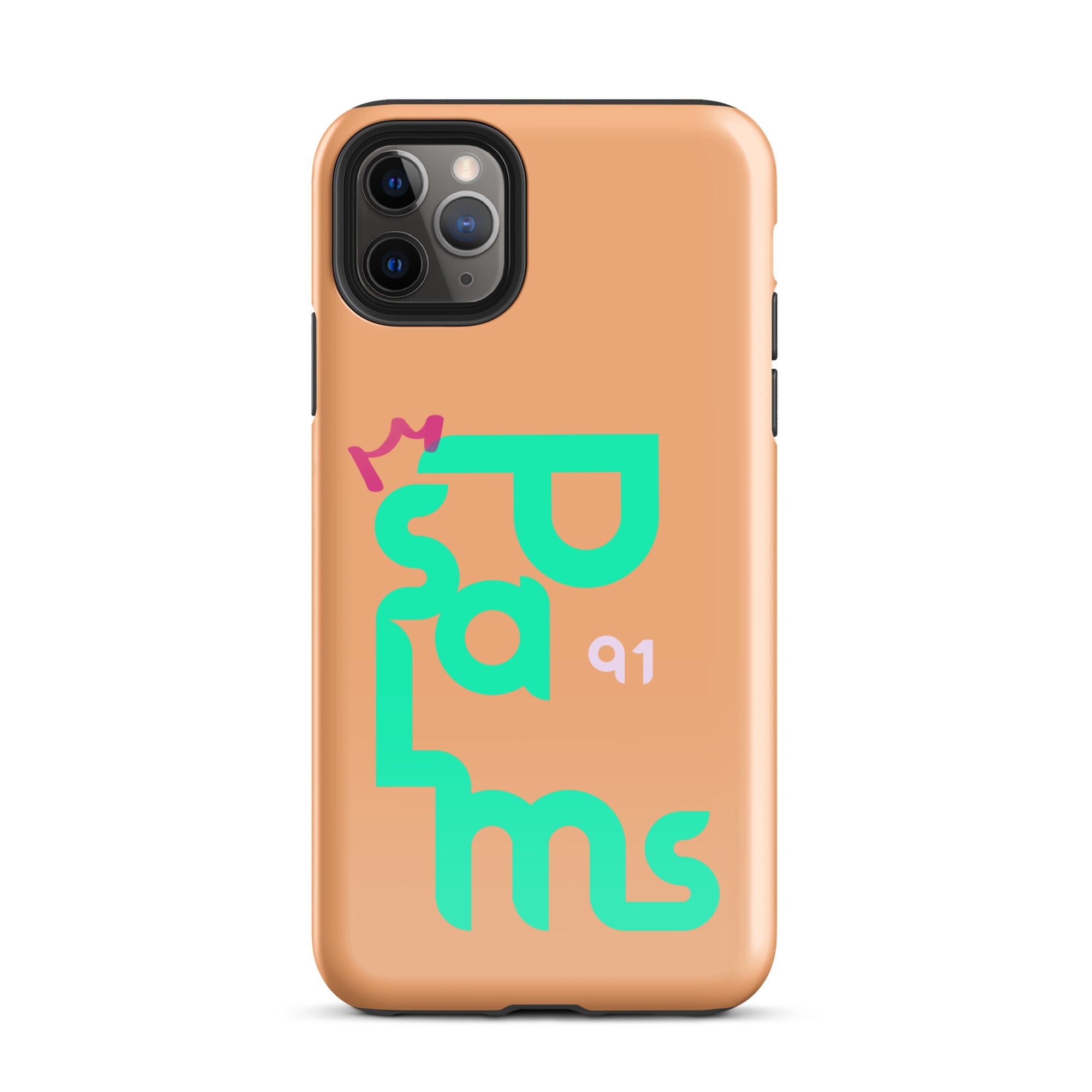 iPhone Case - Psalms 91