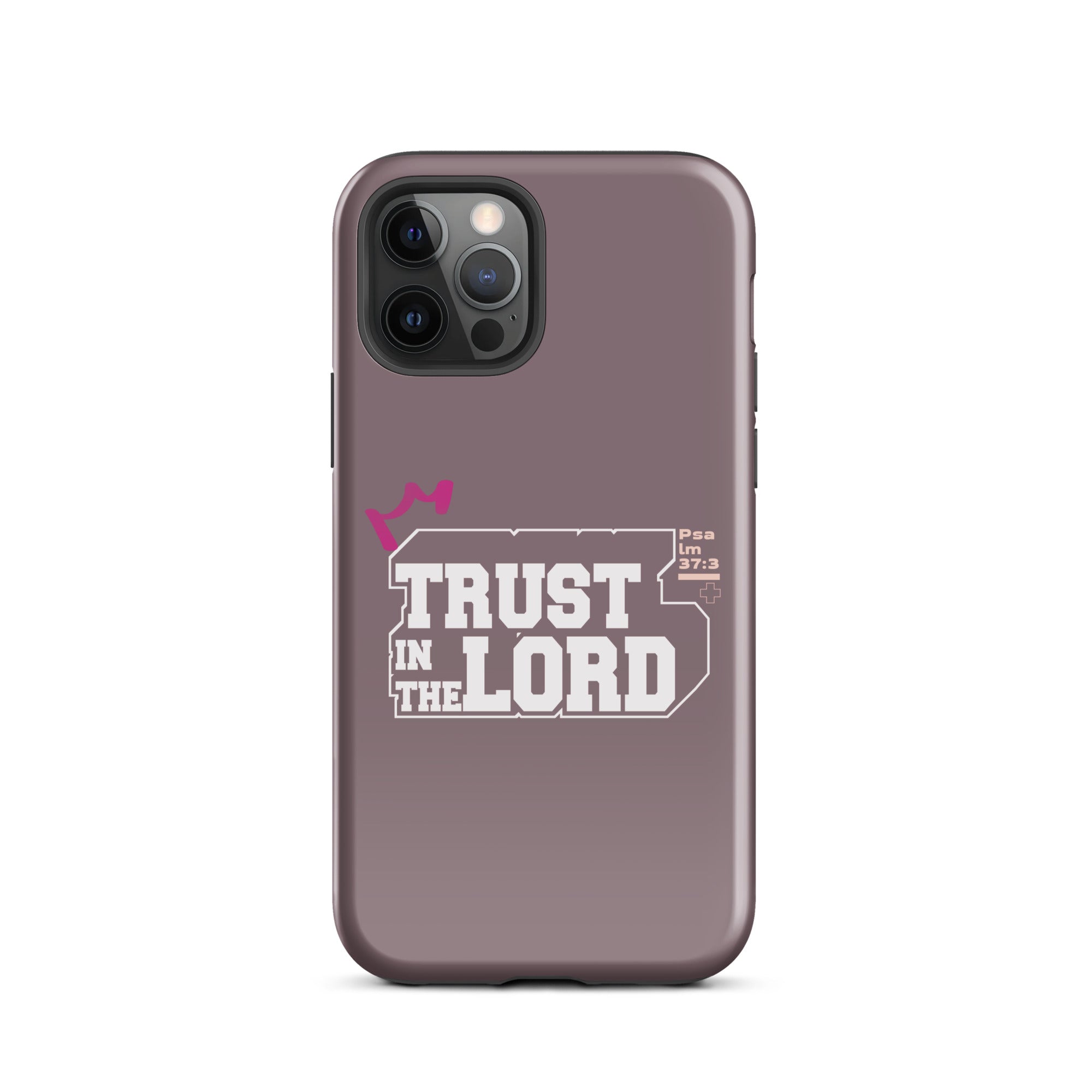 iPhone Case - Psalm 37:3