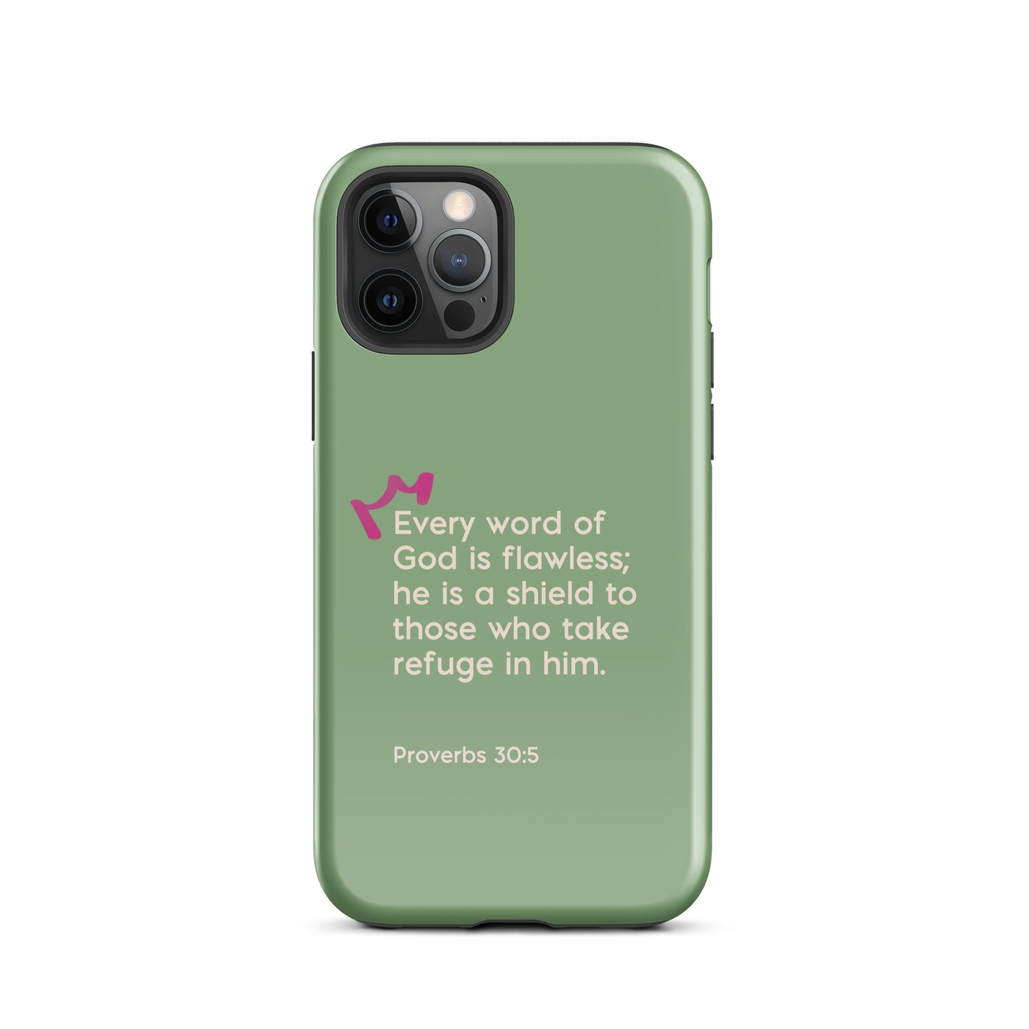 iPhone Case - Proverbs 31:5