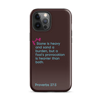 iPhone Case - Proverbs 27:3