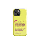 iPhone Case - Romans 15:13