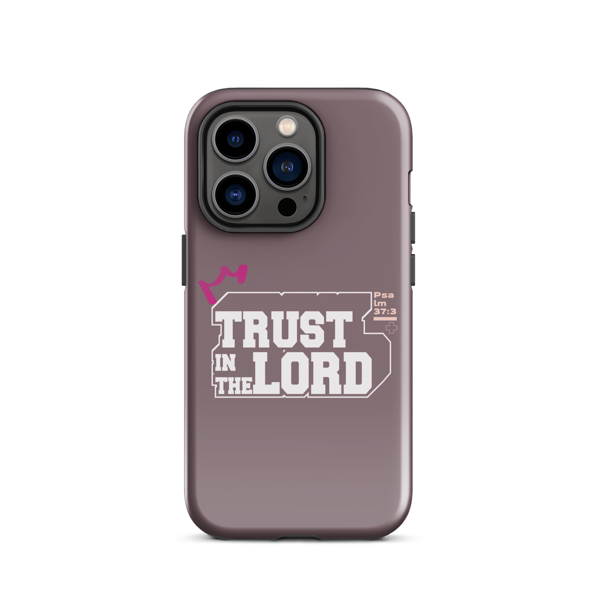 iPhone Case - Psalm 37:3