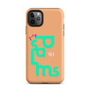 iPhone Case - Psalms 91