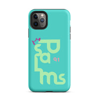 iPhone Case - Psalms 91