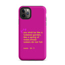 iPhone Case - Isaiah 58:11