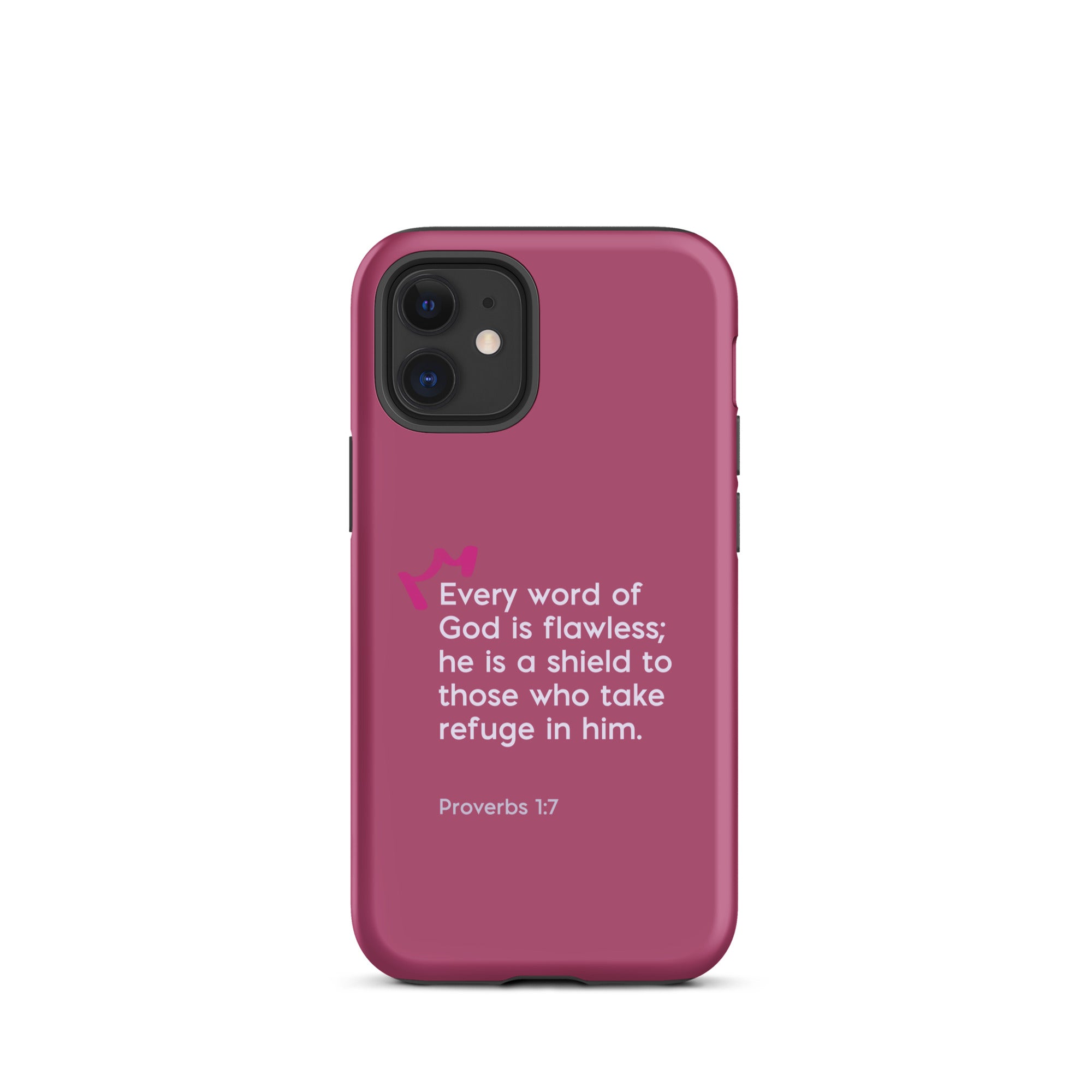 iPhone Case - Proverbs 31:5