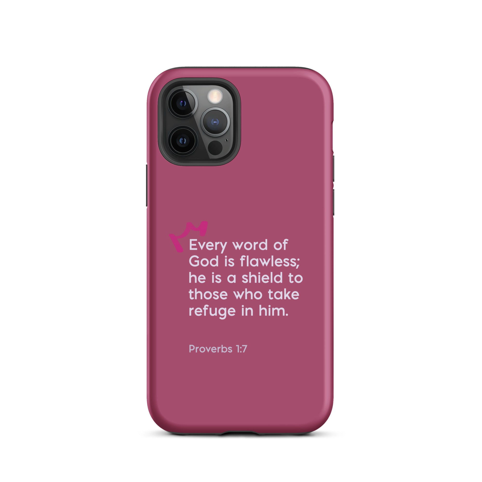 iPhone Case - Proverbs 31:5